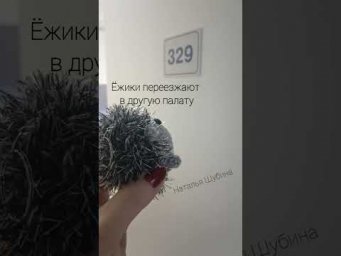 Ёжиков перевели в другую палату #брелоккрючком #ежиккрючком