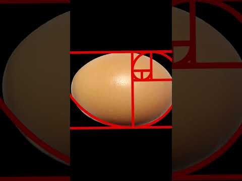 Правда и мифы о математике вокруг #математика