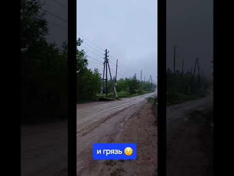 Поездка на дачу Поездка на дачу