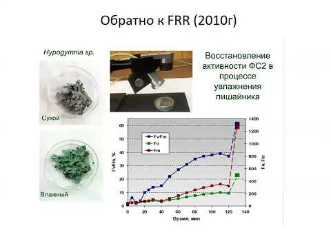 Эволюция флуориметров СМАРТ: измерение трех типов кинетических кривых флуоресценции хлорофилла Эволюция флуориметров СМАРТ: измерение трех типов кинетических кривых флуоресценции хлорофилла