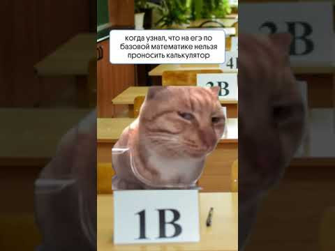 А вы бы справились без калькулятора на ЕГЭ по базовой математике? 