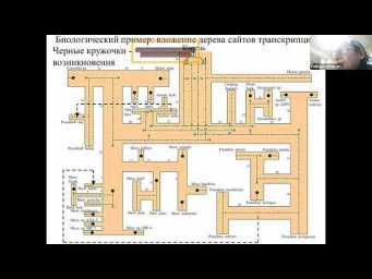 Современные методы обработки данных, II. Лекция 5 (8.12.2025)