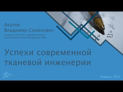 Успехи современной тканевой инженерии