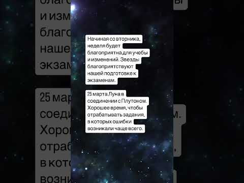 24 марта 2025 г. 24 марта 2025 г.