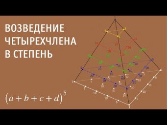 Возведение четырехчлена в степень