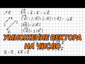 Умножение вектора на число - 9 класс геометрия