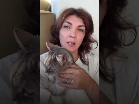УЧУ РЕШАТЬ ЗАДАЧКИ ПО ПРОФИЛЮ &mdash; БЕСПЛАТНО! 