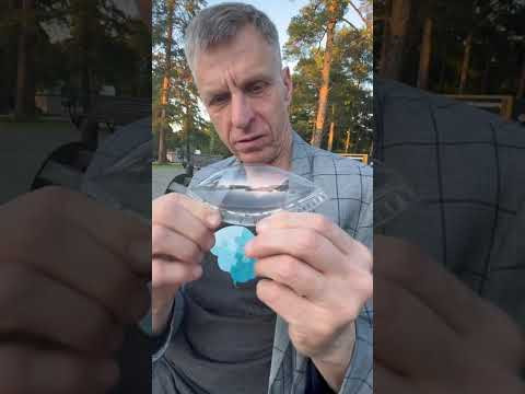 Как это называется?