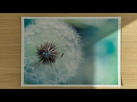 Векторная функция и векторное поле | ФНП 2.1 Векторная функция и векторное поле | ФНП 2.1