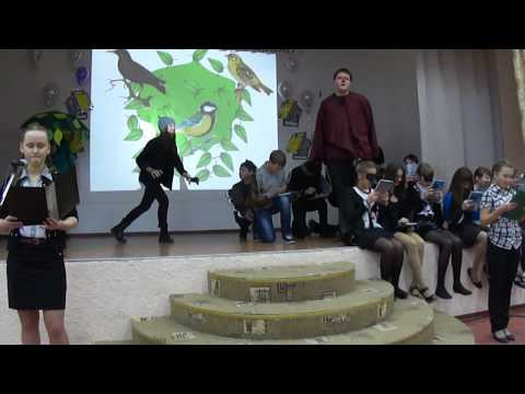 Птичья школа