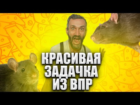 ВНЕЗАПНО КРАСИВАЯ ЗАДАЧКА ИЗ ВПР! БЫВАЕТ И ТАКОЕ!