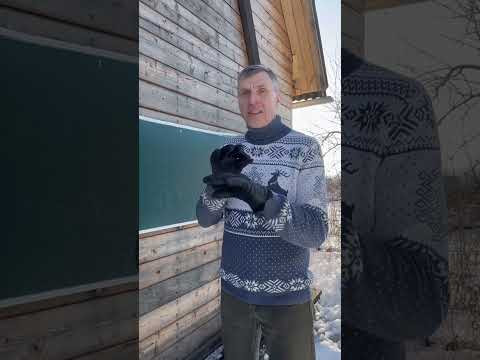 Кого больше? Кого больше?