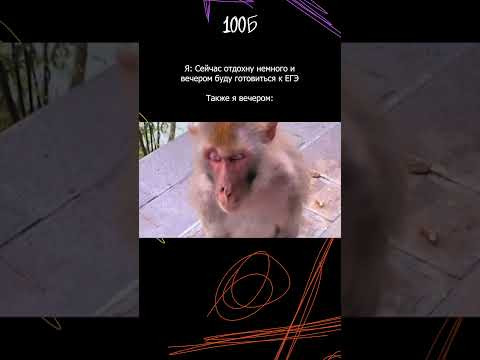 Лови курсы по подготовке к ОГЭ и ЕГЭ в комментариях! #shorts #100балльныйрепетитор