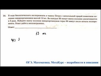 ОГЭ 2025. Математика. Задание 14. В ходе биологического эксперимента в чашку Петри с питательной ..