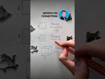 Начни готовиться к ЕГЭ по профилю вместе со мной #егэ #математика #школа #учеба #сотка