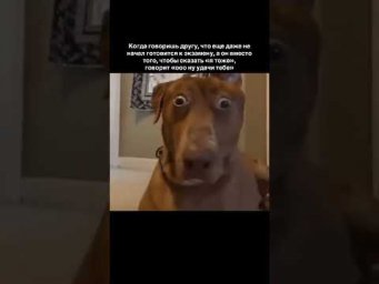 есть такой друг? гк: valeriya_math