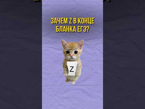 Зачем Z в конце бланка ЕГЭ? #shorts #егэ Зачем Z в конце бланка ЕГЭ? #shorts #егэ