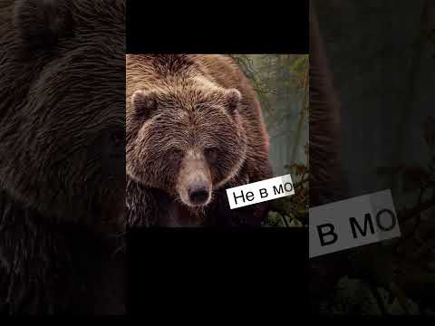 Математика вокруг #математика Математика вокруг #математика
