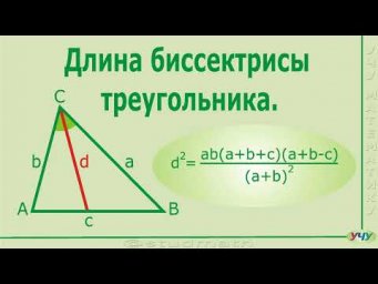 Длина биссектрисы треугольника.