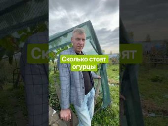 Сколько стоят огурцы.