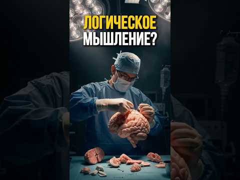 Проверь, Есть Ли у Тебя Логическое Мышление? #shorts #логика Проверь, Есть Ли у Тебя Логическое Мышление? #shorts #логика