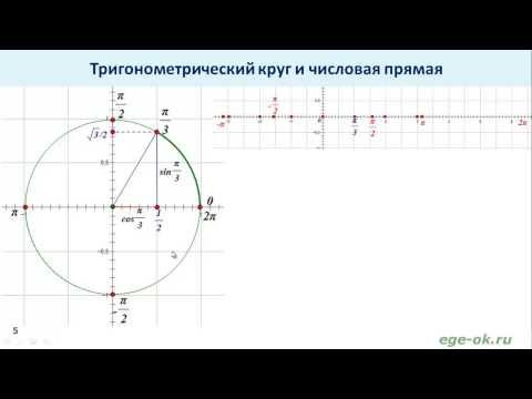 Тригонометрический круг и числовая прямая Тригонометрический круг и числовая прямая