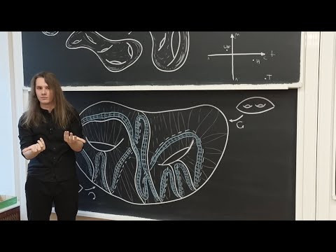 Лекция 12 | Теория узлов | Теорема Ликориша &mdash; Уоллеса, Инь-Ян, торические червоточины