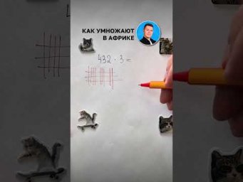 Начни готовиться к ЕГЭ по профилю вместе со мной! #егэ #математика #школа #учеба #сотка