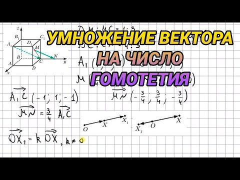 Умножение вектора на число. Гомотетия - 11 класс геометрия