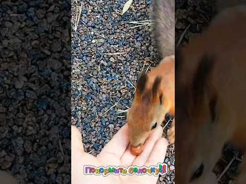 Старая знакомая!!! 