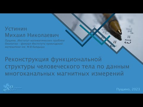 Реконструкция функциональной структуры тела по данным многоканальных магнитных измерений