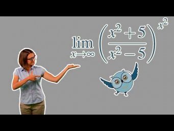 Как найти предел функции ( ( x^2 + 5 ) / ( x^2 - 5 ) ) ^ ( x^2 ) при x, стремящемся к бесконечности?