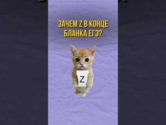 Зачем Z в конце бланка ЕГЭ? #shorts #егэ