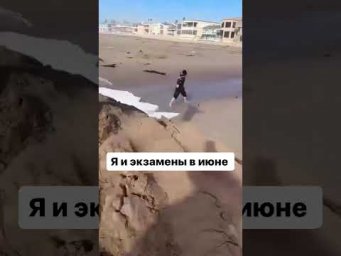 я и экзамены #школа