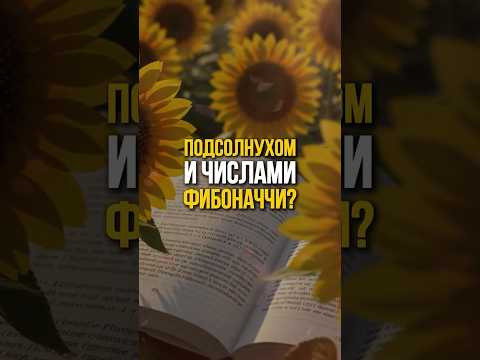 Числа Фибоначчи - закон красоты и математики #shorts Числа Фибоначчи - закон красоты и математики #shorts