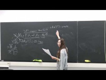 Семинар 128. И.Г. Лысёнок, А.Л. Таламбуца. Геометрическая теория групп