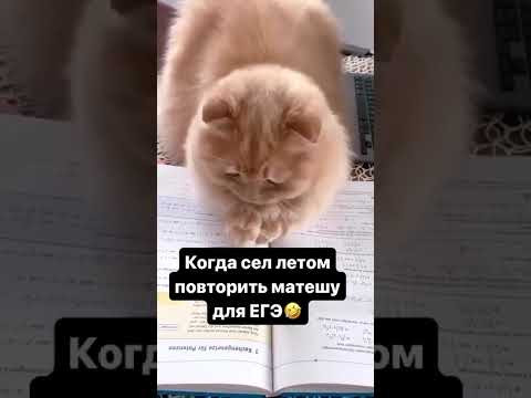 у всех так? тгк: valeriya_math