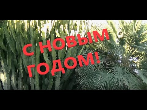 Новогоднее поздравление от Andrei Gradient. Новогоднее поздравление от Andrei Gradient.