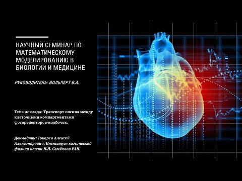 Токарев А.А. - Транспорт опсина между клеточными компартментами фоторецепторов-колбочек. Токарев А.А. - Транспорт опсина между клеточными компартментами фоторецепторов-колбочек.