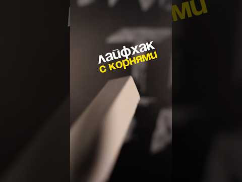 хочешь получится бесплатную летнюю подготовку к экзаменам?переходи по ссылке в шапке профиля❤️ хочешь получится бесплатную летнюю подготовку к экзаменам?переходи по ссылке в шапке профиля❤️