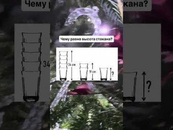 Задача для самых сообразительных. Чему равна высота стакана?