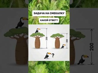 задача на смекалку тгк: valeriya_math