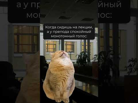 на лекции тгк: valeriya_math