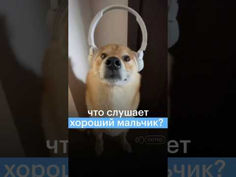 ЧТО СЛУШАЕТ ХОРОШИЙ МАЛЬЧИК? #сотка #математика #егэ #егэ2024 #векторы ЧТО СЛУШАЕТ ХОРОШИЙ МАЛЬЧИК? #сотка #математика #егэ #егэ2024 #векторы